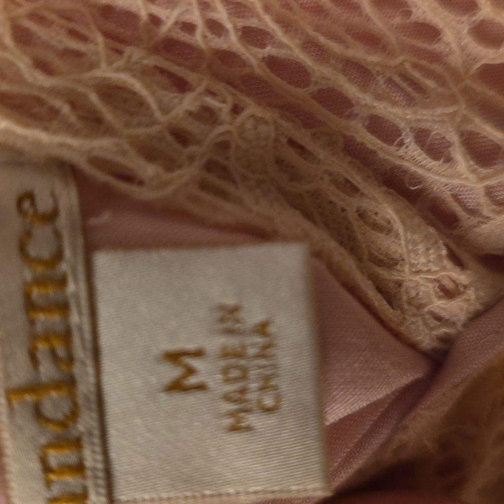 Sundance Blush Lace High Low Dress - Picture 3 of 6